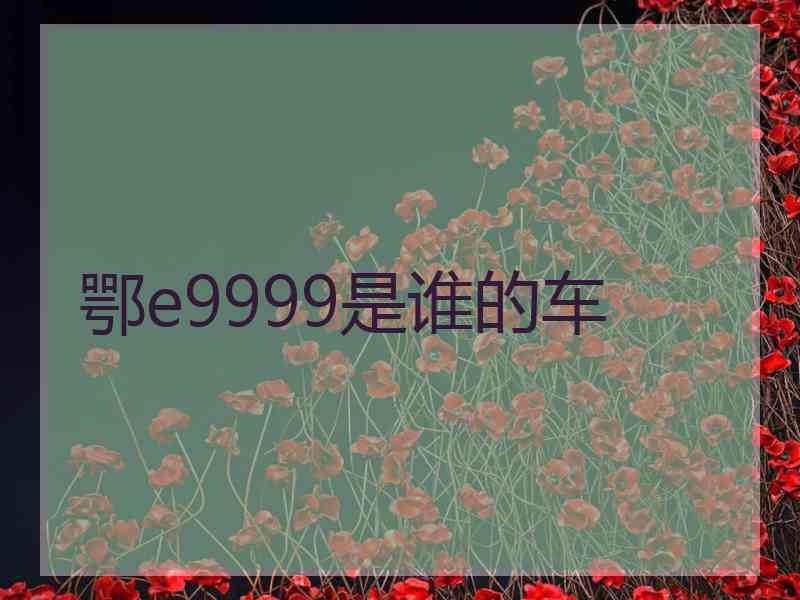 鄂e9999是谁的车