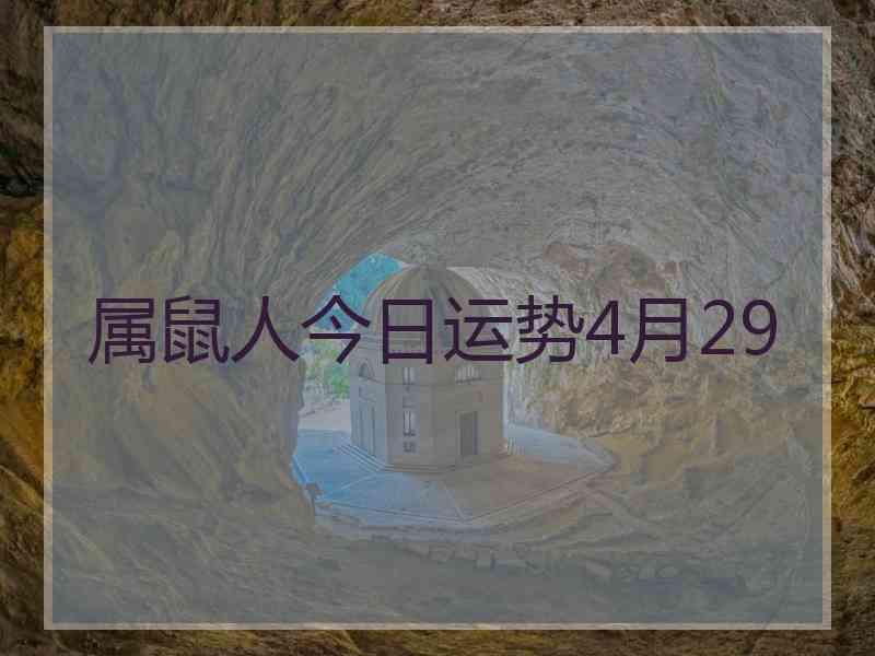 属鼠人今日运势4月29