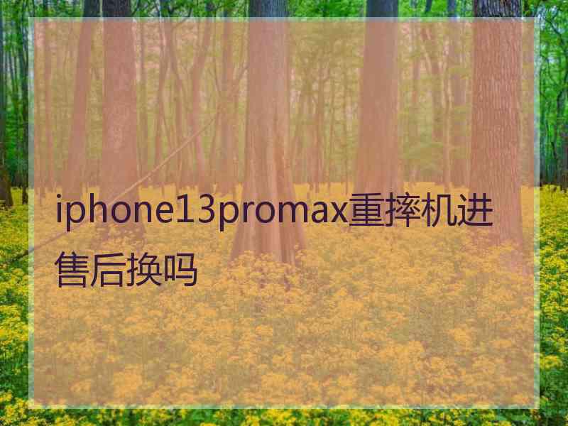 iphone13promax重摔机进售后换吗