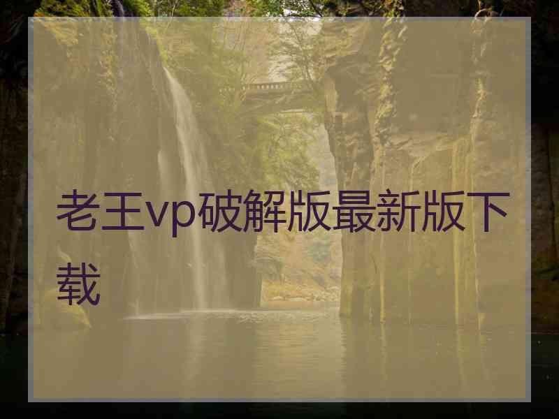 老王vp破解版最新版下载