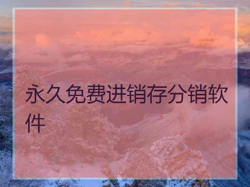 永久免费进销存分销软件