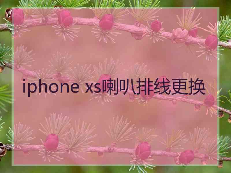 iphone xs喇叭排线更换