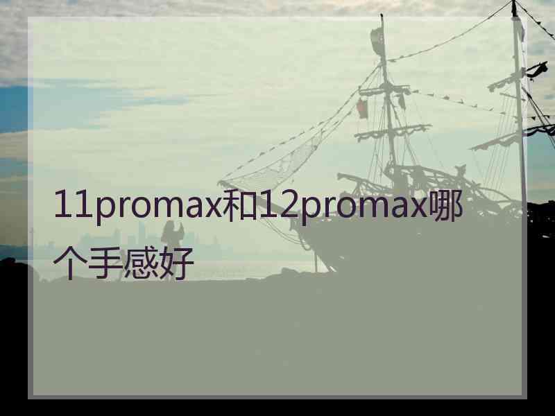 11promax和12promax哪个手感好