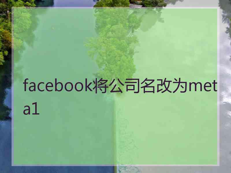 facebook将公司名改为meta1