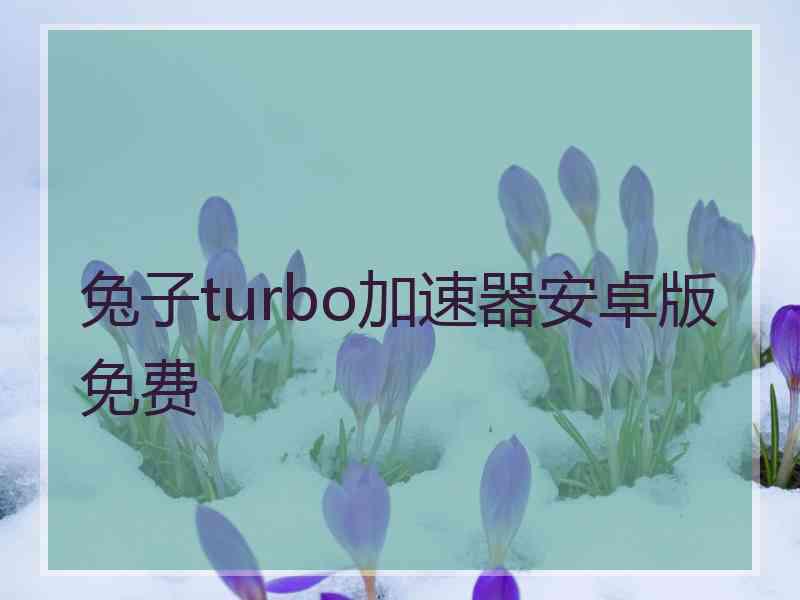 兔子turbo加速器安卓版免费