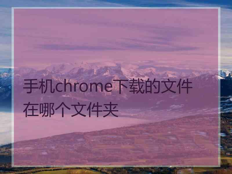 手机chrome下载的文件在哪个文件夹