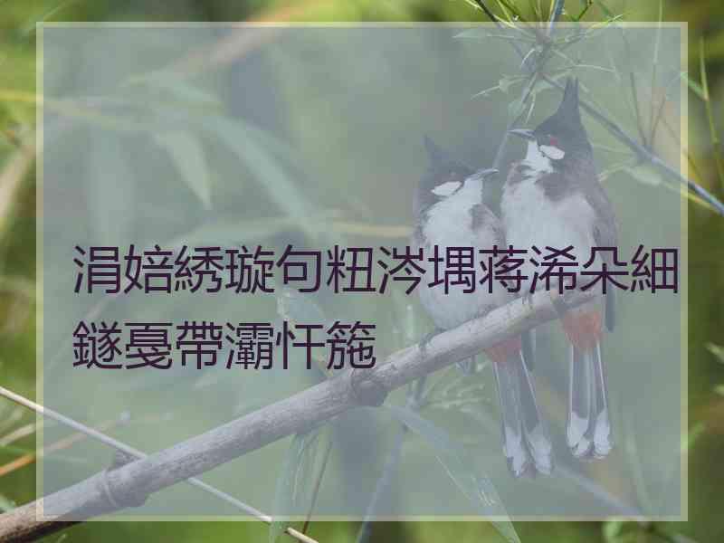 涓婄綉璇句粈涔堣蒋浠朵細鐩戞帶灞忓箷