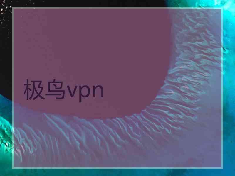 极鸟vpn