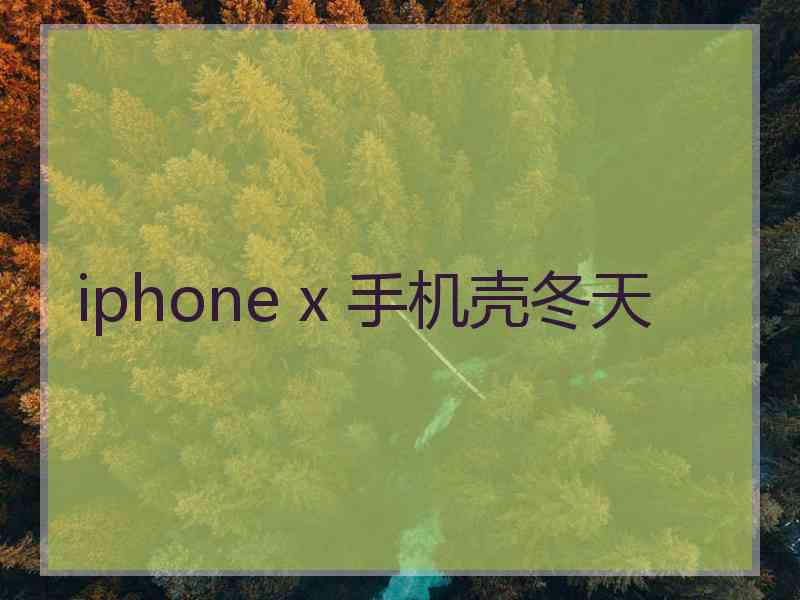 iphone x 手机壳冬天