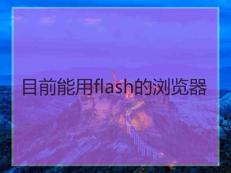 目前能用flash的浏览器