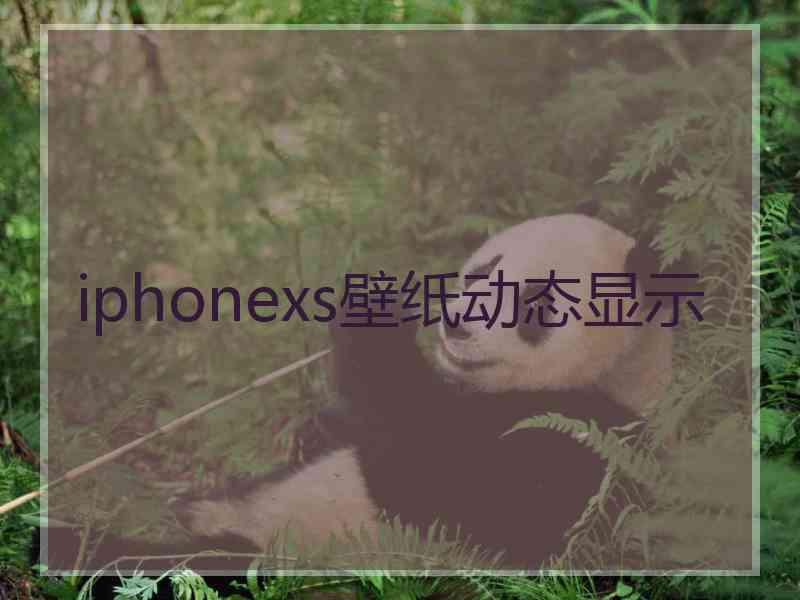 iphonexs壁纸动态显示