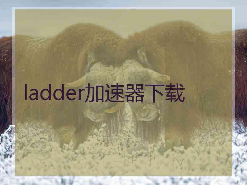 ladder加速器下载