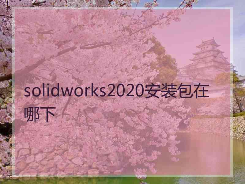 solidworks2020安装包在哪下