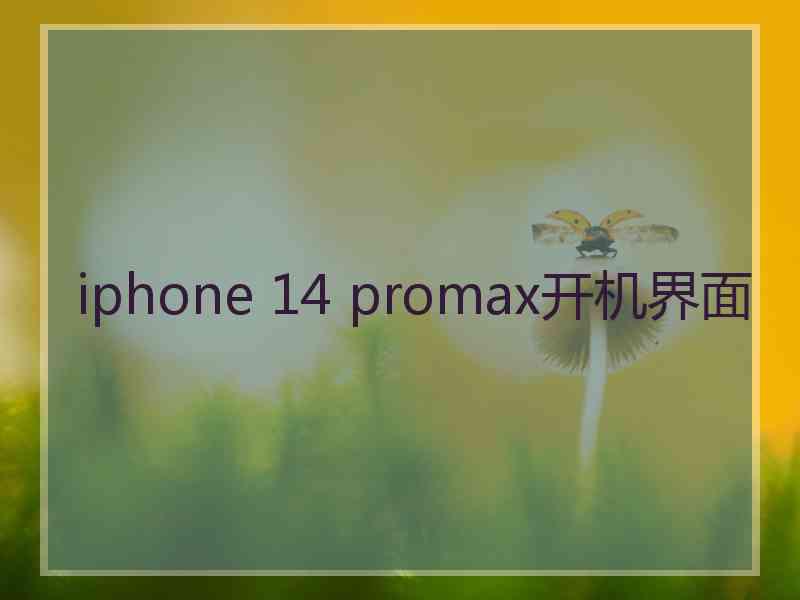 iphone 14 promax开机界面