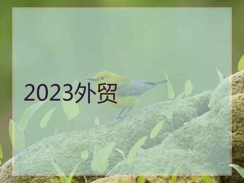 2023外贸