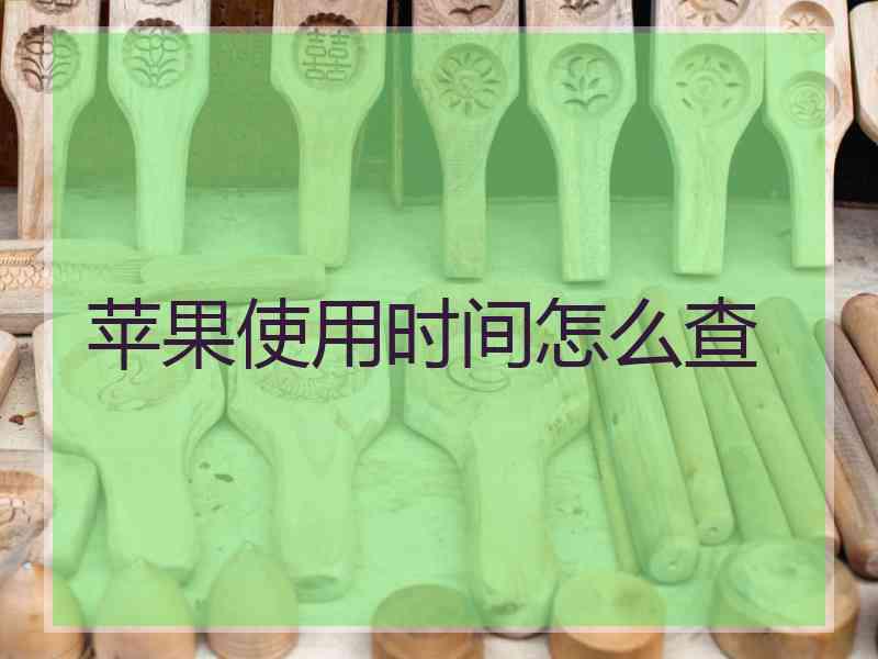 苹果使用时间怎么查