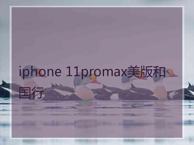 iphone 11promax美版和国行