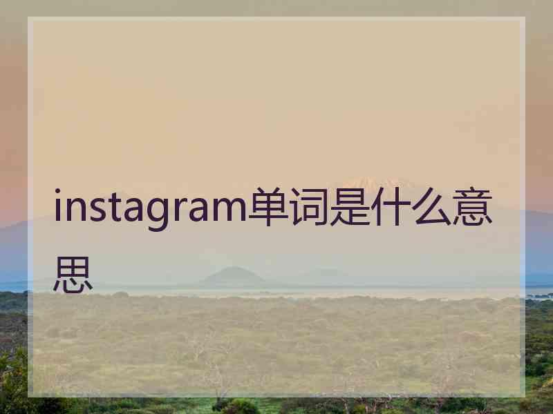 instagram单词是什么意思