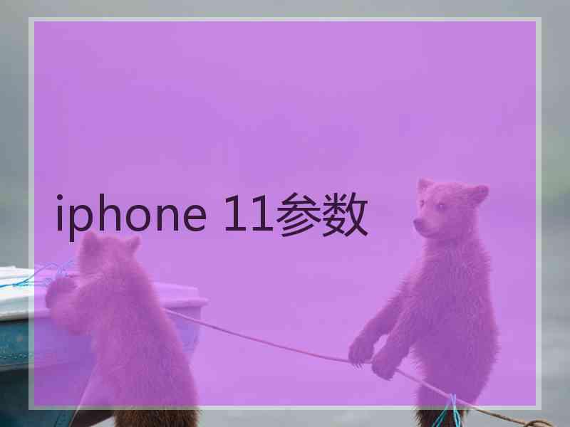 iphone 11参数