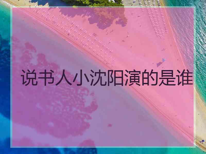 说书人小沈阳演的是谁