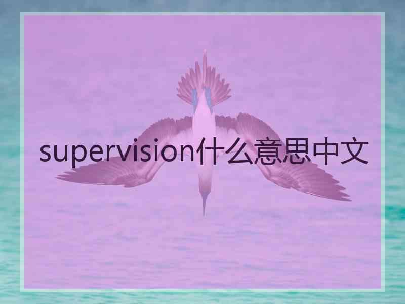 supervision什么意思中文