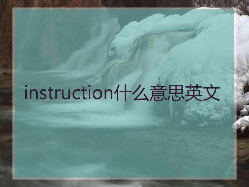 instruction什么意思英文