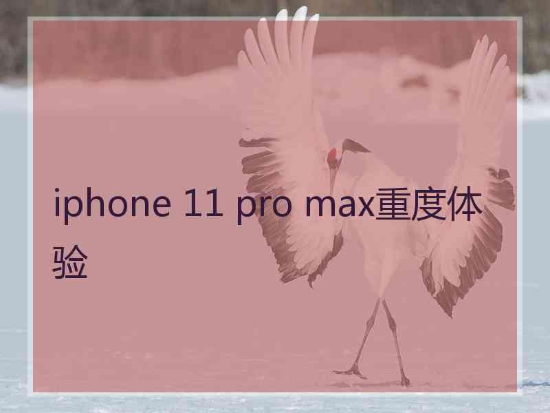 iphone 11 pro max重度体验