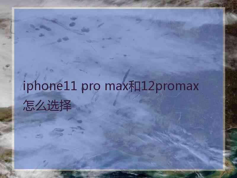 iphone11 pro max和12promax怎么选择