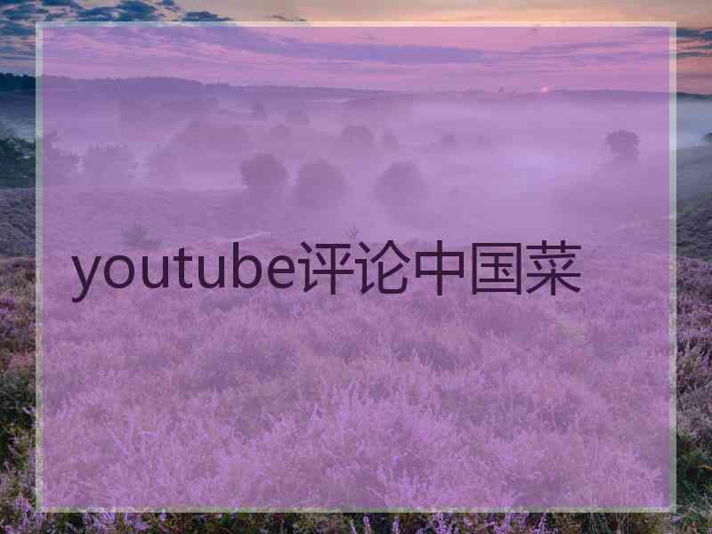 youtube评论中国菜