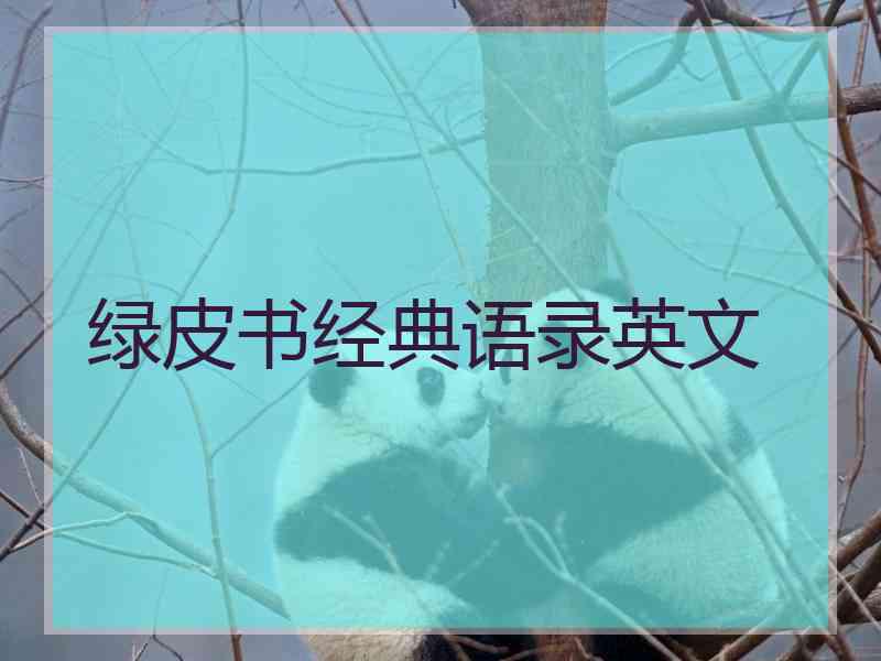 绿皮书经典语录英文