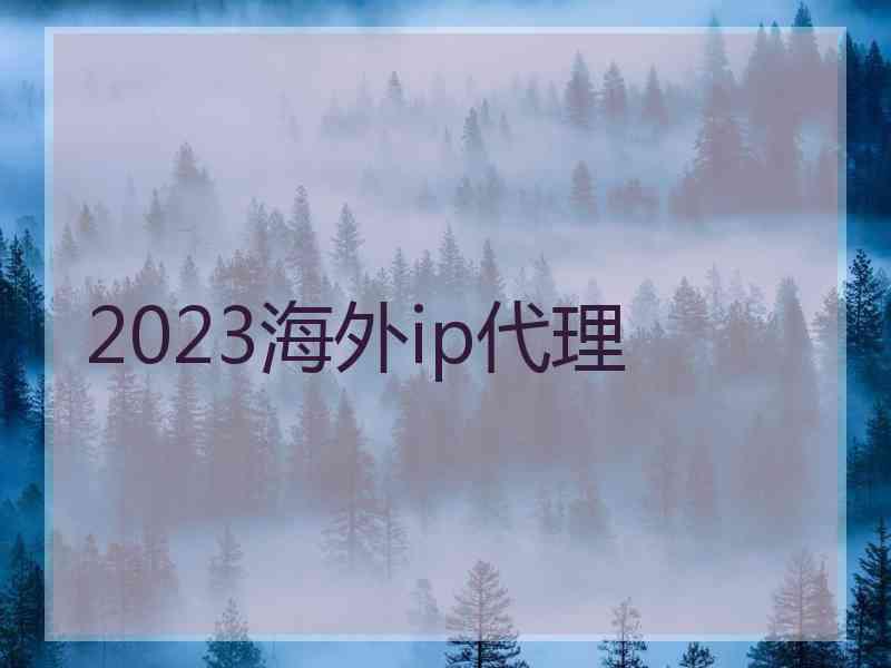 2023海外ip代理