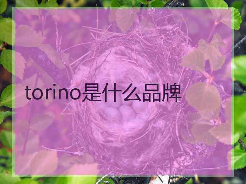 torino是什么品牌