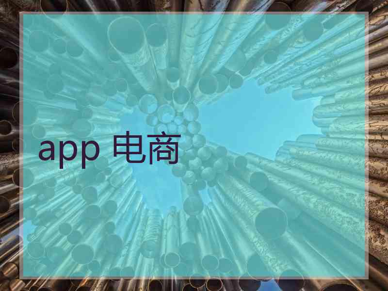 app 电商