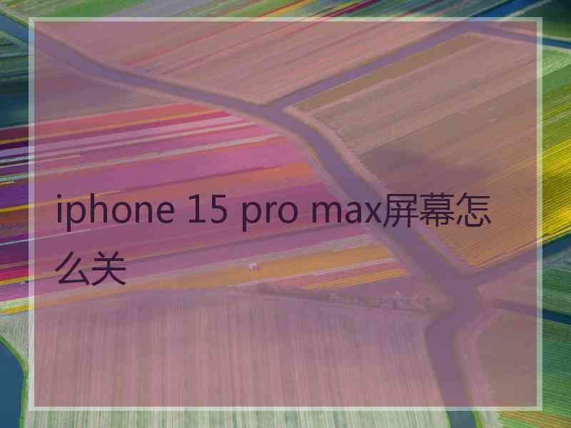 iphone 15 pro max屏幕怎么关