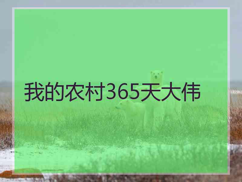 我的农村365天大伟