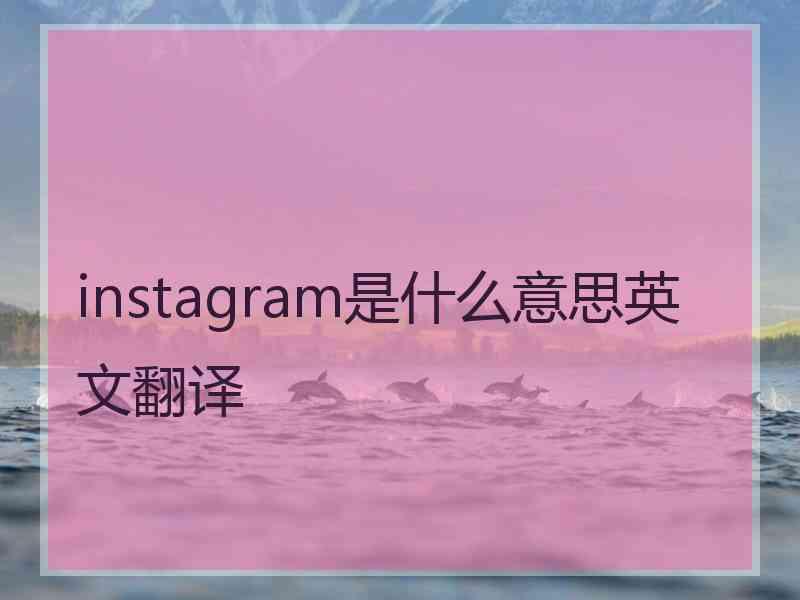 instagram是什么意思英文翻译