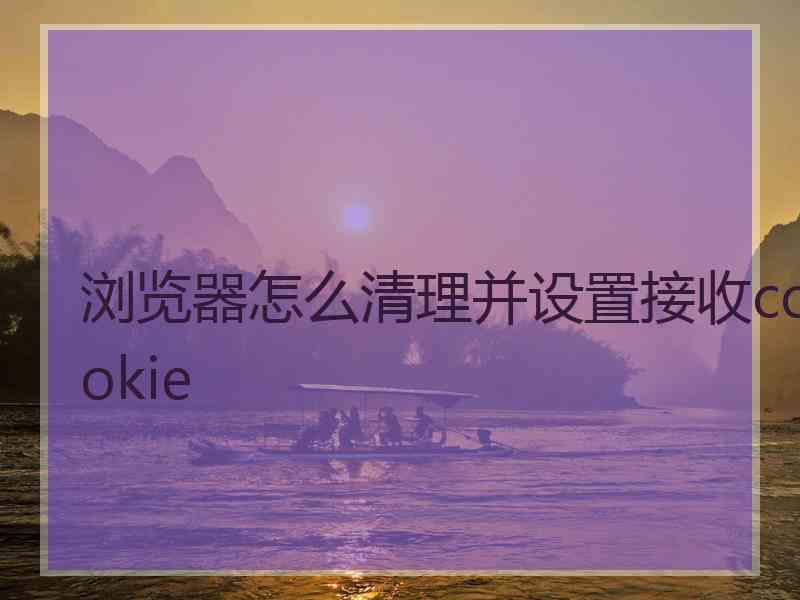 浏览器怎么清理并设置接收cookie