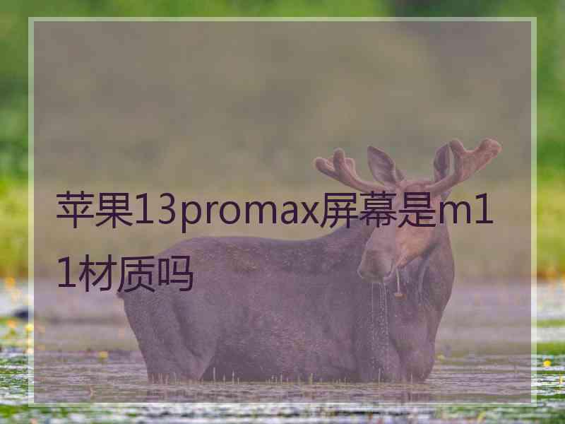 苹果13promax屏幕是m11材质吗