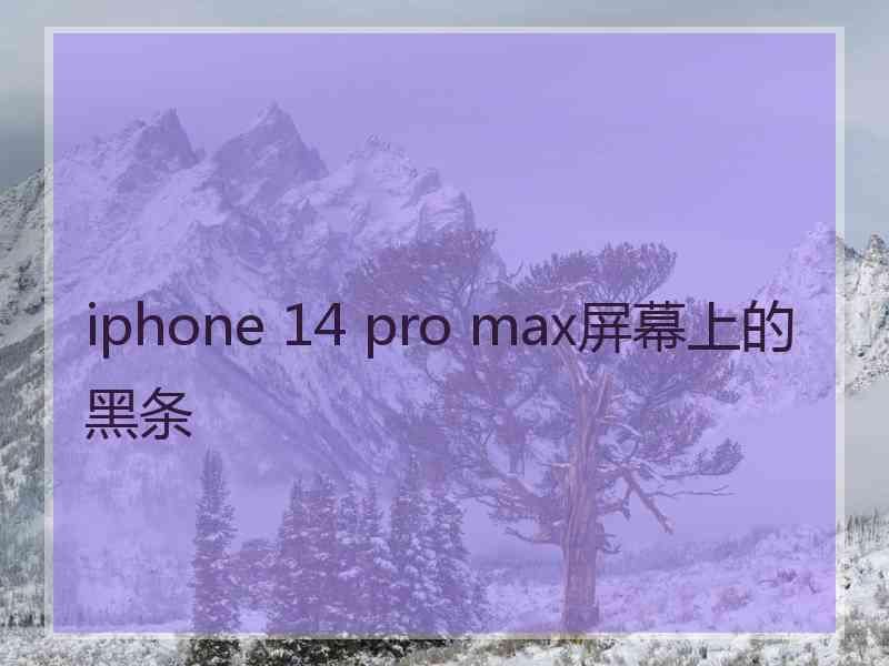 iphone 14 pro max屏幕上的黑条