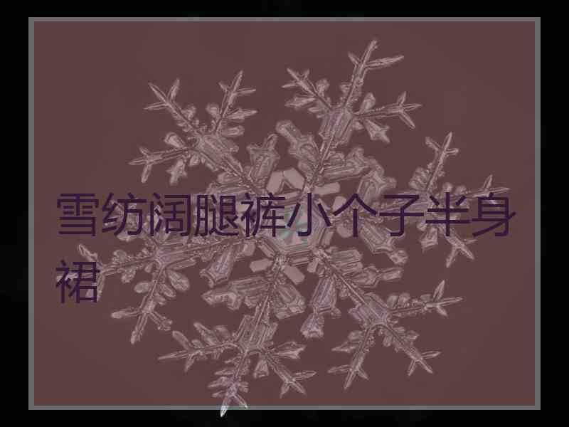 雪纺阔腿裤小个子半身裙