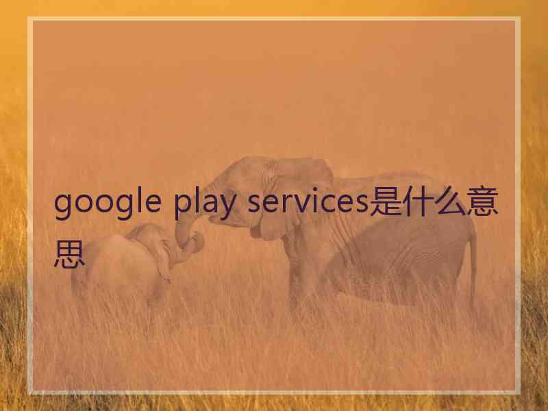 google play services是什么意思