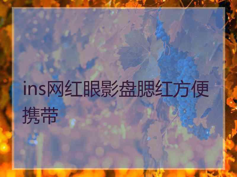 ins网红眼影盘腮红方便携带