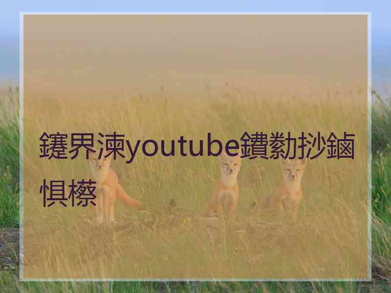 鑳界湅youtube鐨勬挱鏀惧櫒