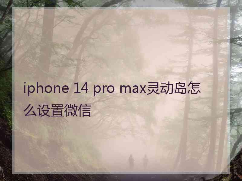 iphone 14 pro max灵动岛怎么设置微信