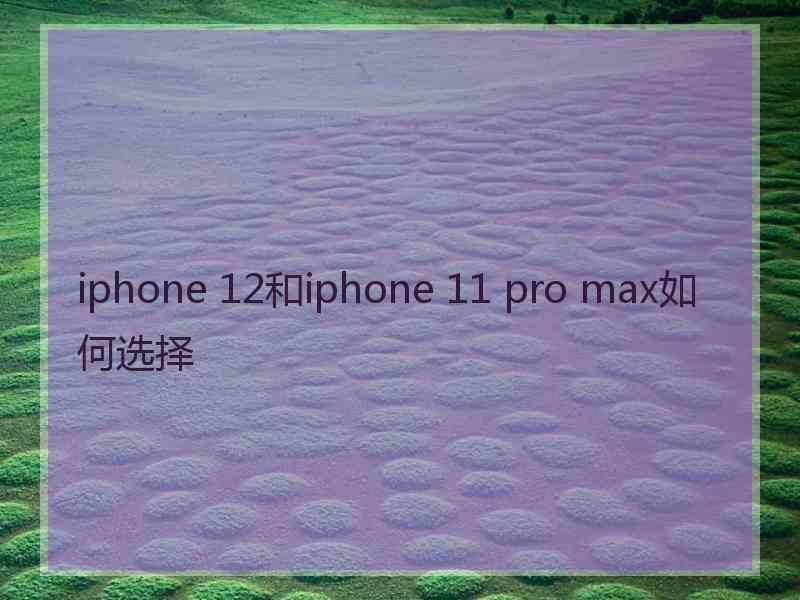 iphone 12和iphone 11 pro max如何选择