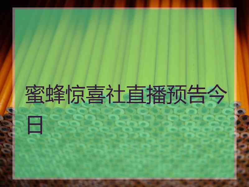 蜜蜂惊喜社直播预告今日