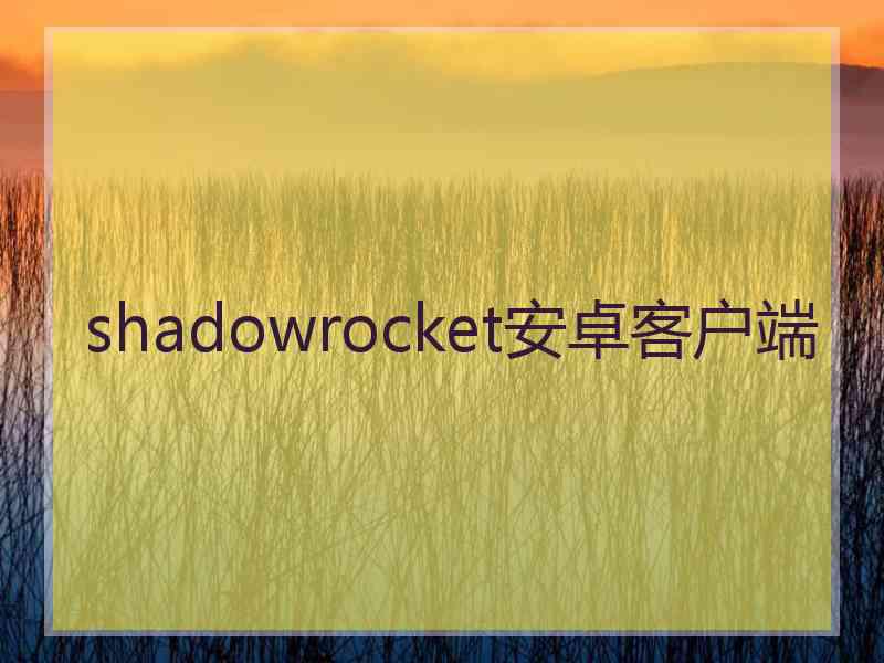 shadowrocket安卓客户端