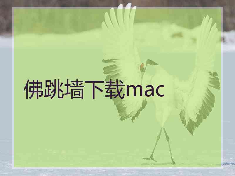 佛跳墙下载mac