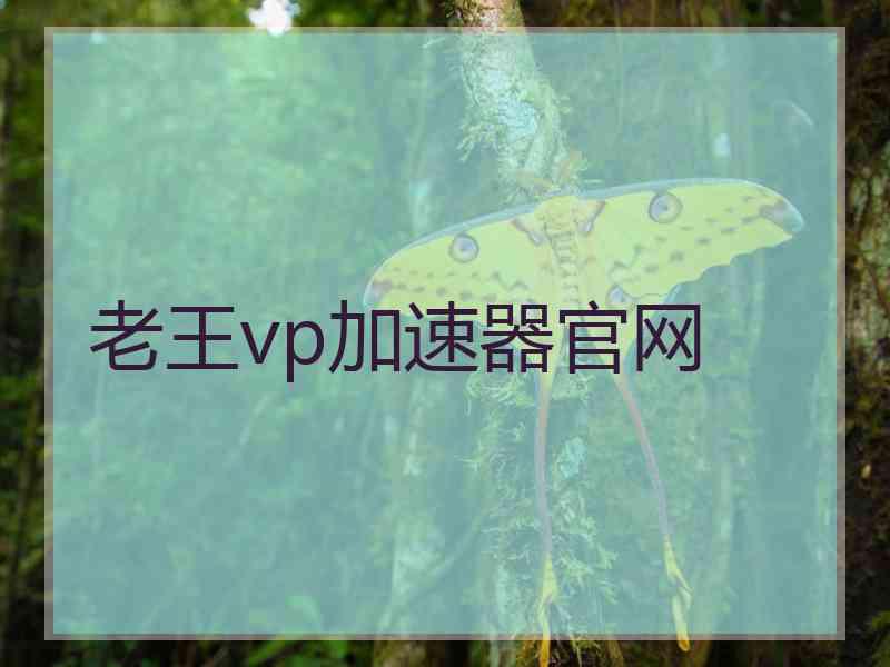 老王vp加速器官网