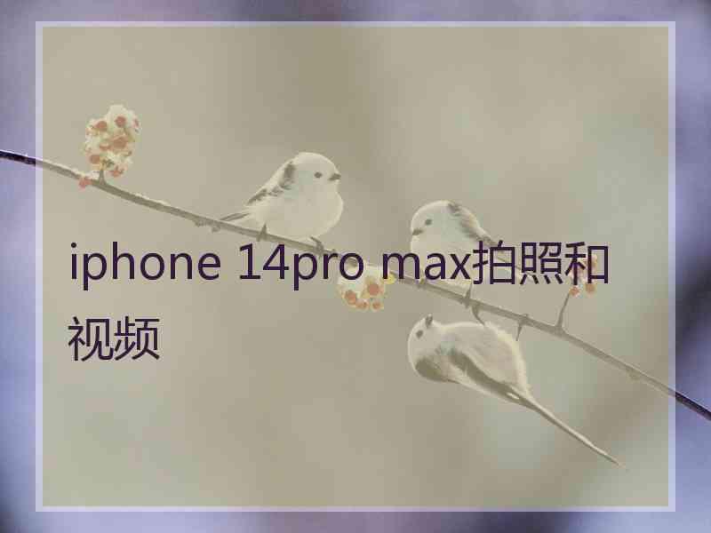 iphone 14pro max拍照和视频